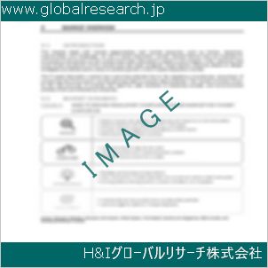 グローバルリサーチ調査資料のイメージ
